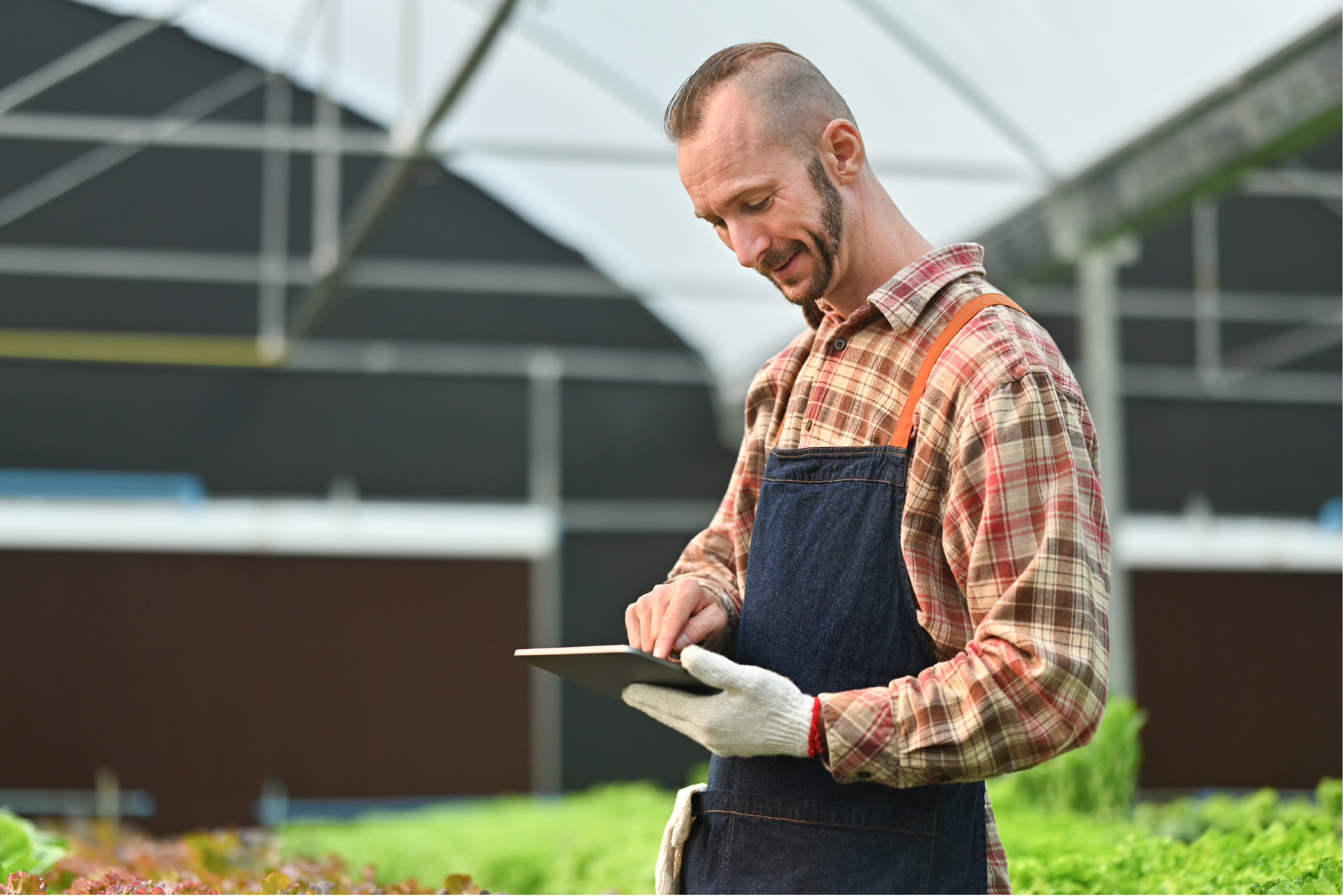 Técnicos agrícolas y cooperativas gestionando información de explotaciones agrícolas mediante herramientas digitales.