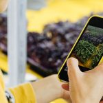 Técnicos agrícolas y cooperativas consultando información digital de explotaciones agrarias en una plataforma agrícola.