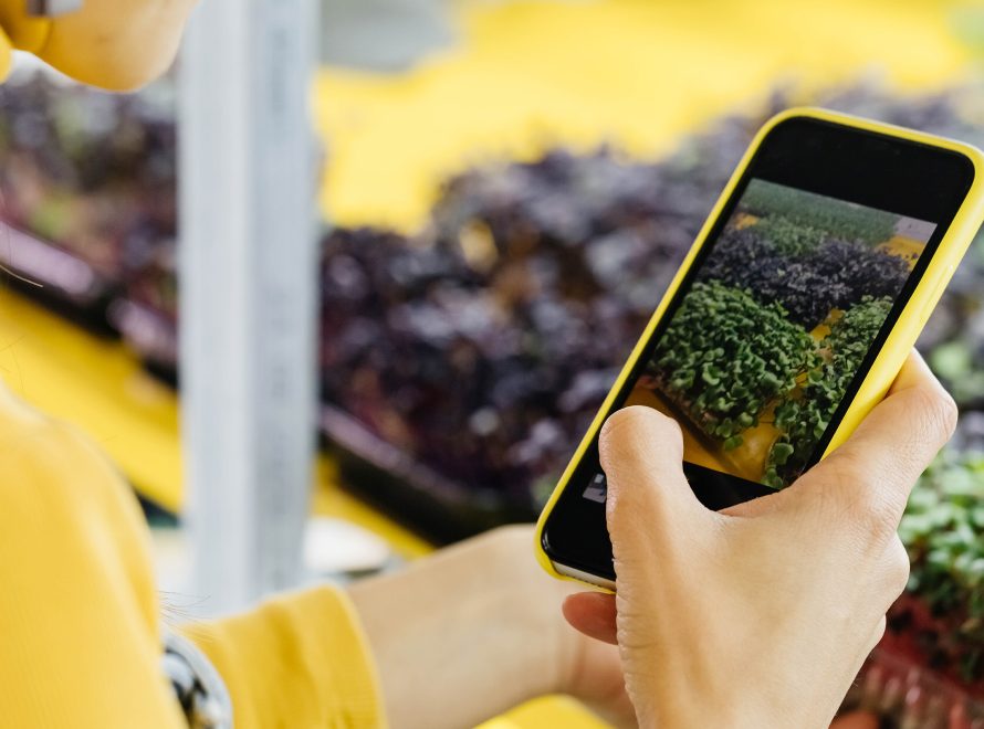 Técnicos agrícolas y cooperativas consultando información digital de explotaciones agrarias en una plataforma agrícola.