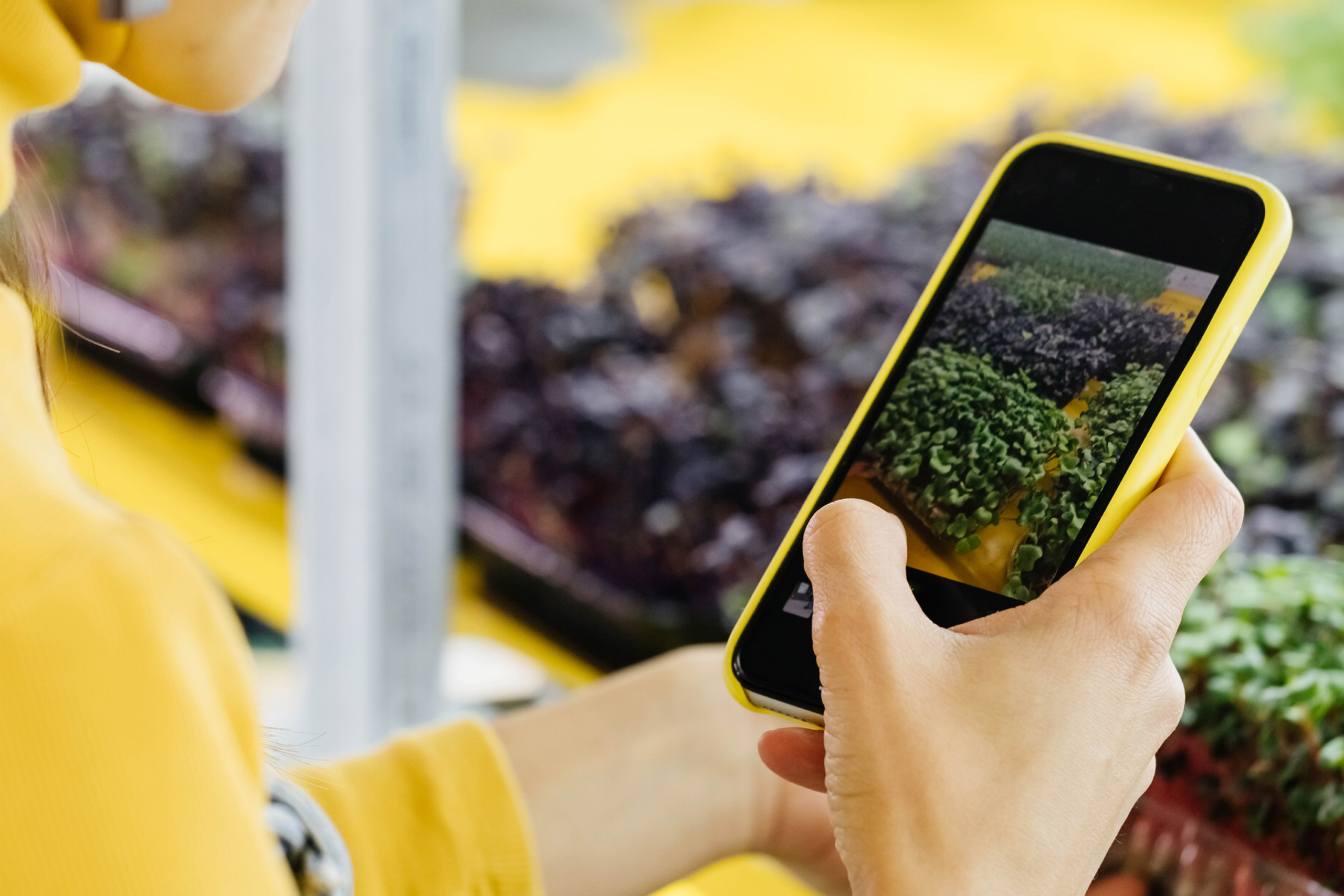 Técnicos agrícolas y cooperativas consultando información digital de explotaciones agrarias en una plataforma agrícola.