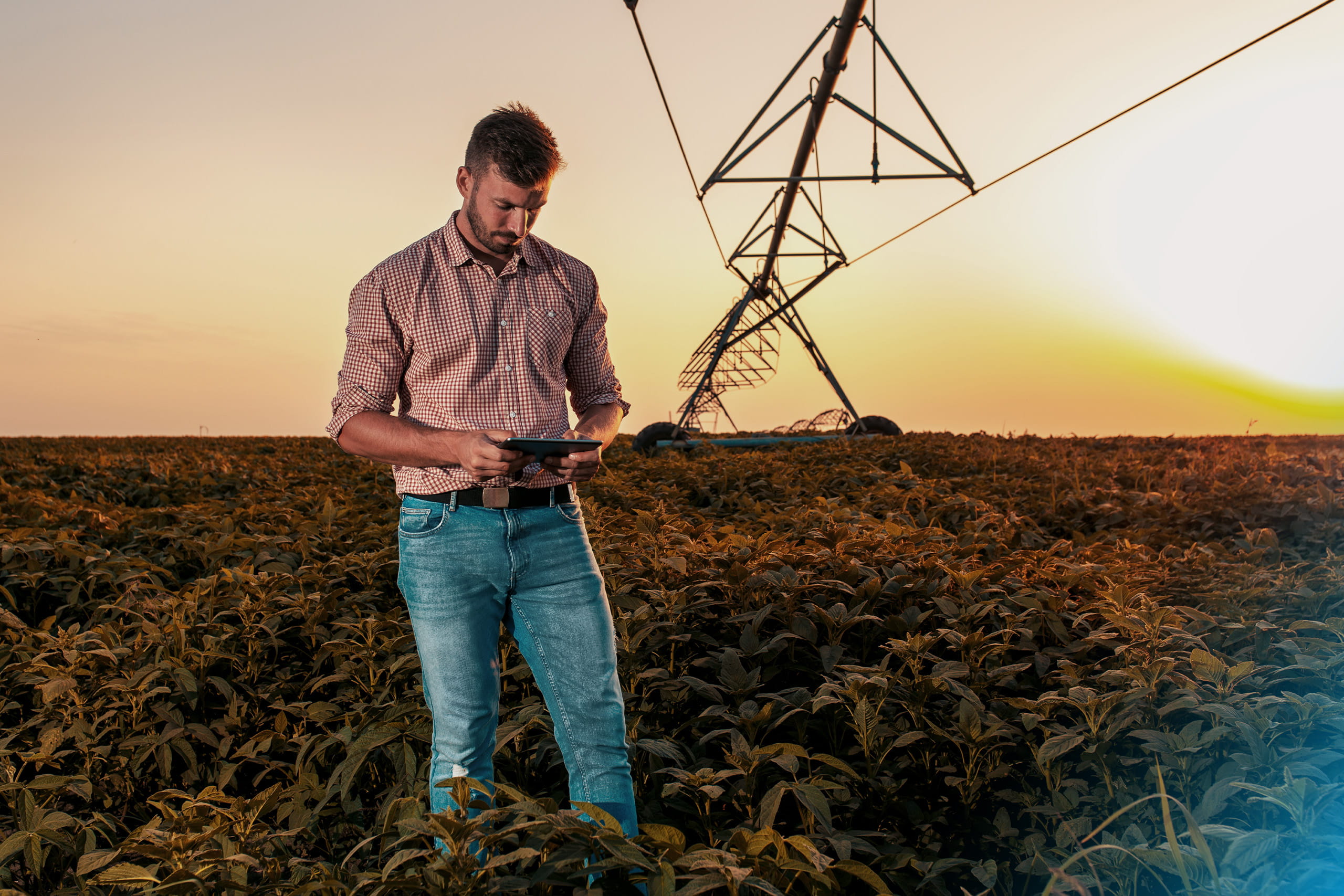 Cuaderno de Explotación Digital para técnicos agrícolas y cooperativas
