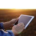 Técnico agrícola consultando registros de tratamientos fitosanitarios en una tableta