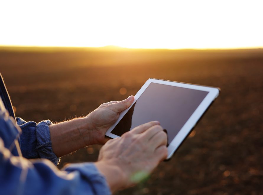 Técnico agrícola consultando registros de tratamientos fitosanitarios en una tableta