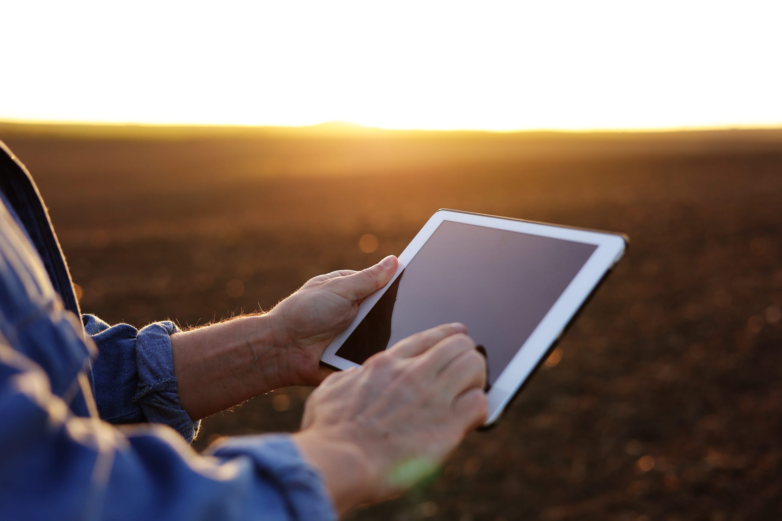 Técnico agrícola consultando registros de tratamientos fitosanitarios en una tableta